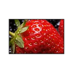 Quadro Decorativo Frutas
