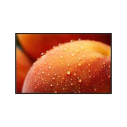 Quadro Decorativo Frutas