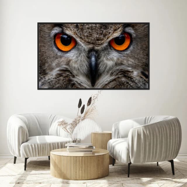 Quadro Decorativo Coruja