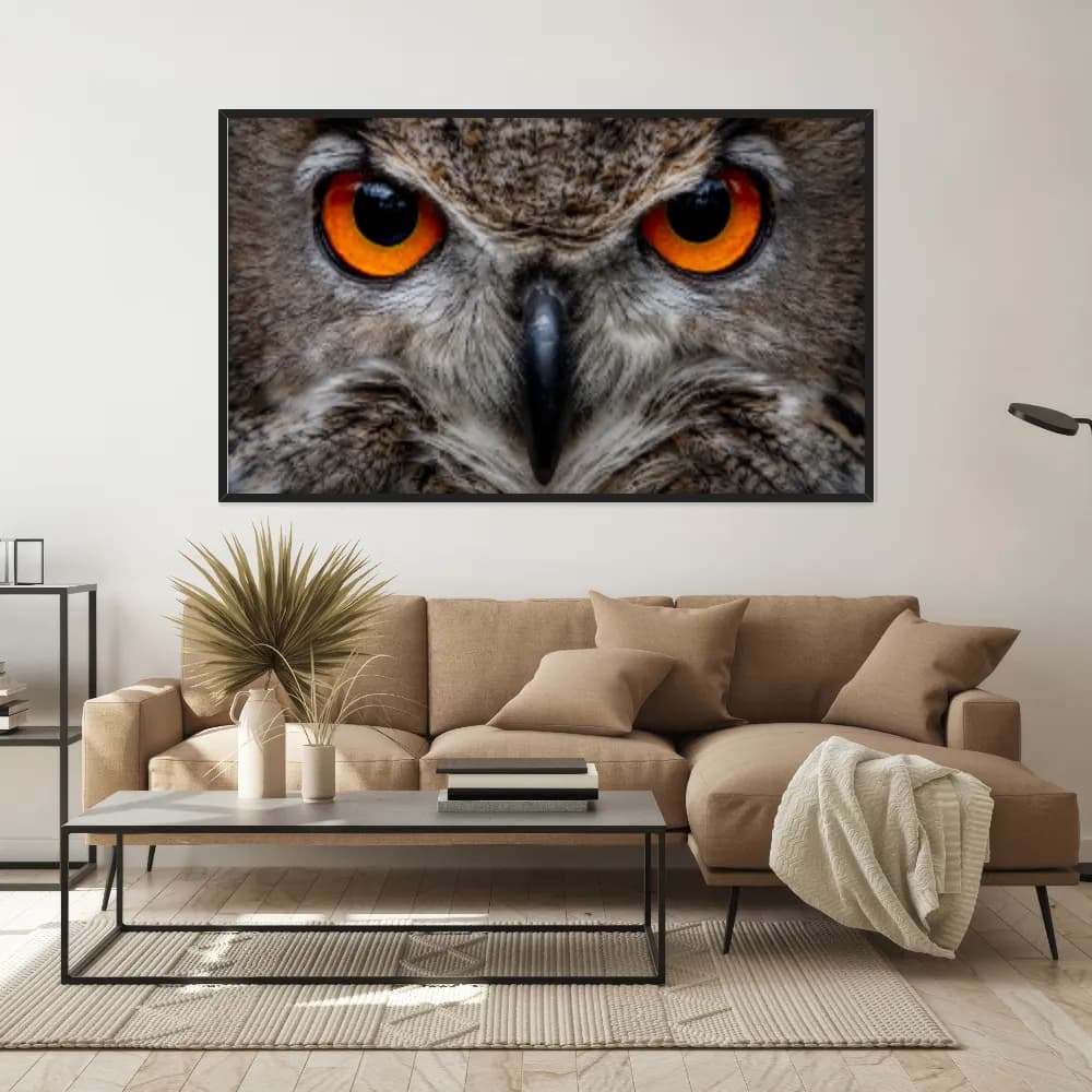 Quadro Decorativo Coruja