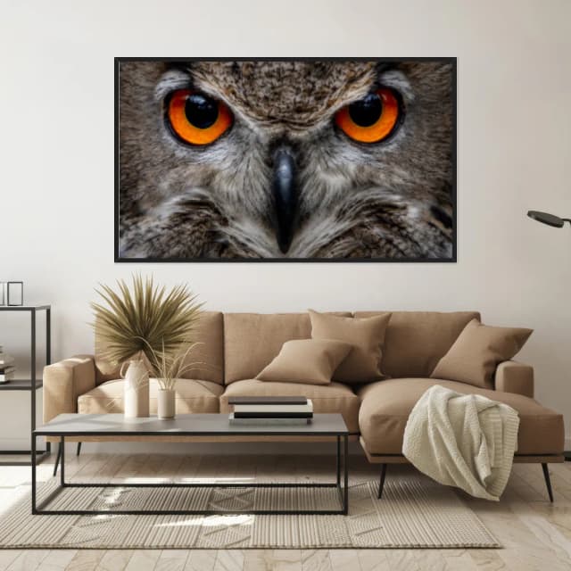 Quadro Decorativo Coruja