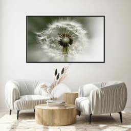 Quadro Decorativo Dente De Leão