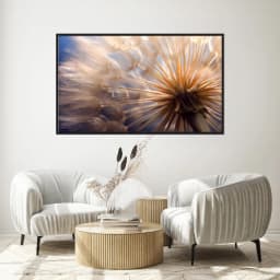 Quadro Decorativo Dente De Leão