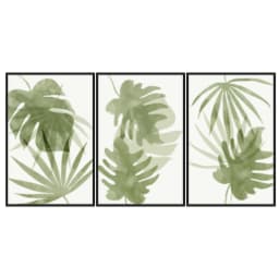 Kit Quadros Decorativos Costela De Adão
