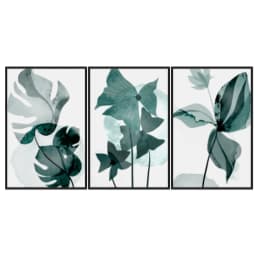 Kit Quadros Decorativos Costela De Adão