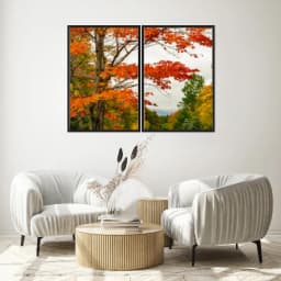 Kit Quadros Decorativos Árvore Laranja