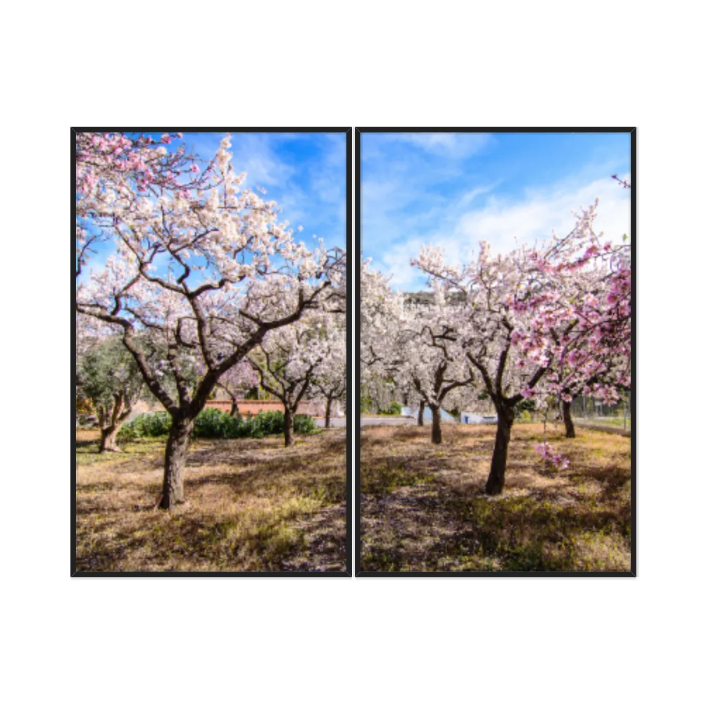 Kit Quadros Decorativos Árvore Rosa