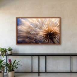 Quadro Decorativo Dente De Leão