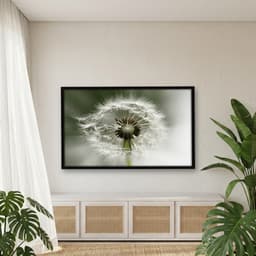 Quadro Decorativo Dente De Leão