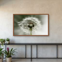 Quadro Decorativo Dente De Leão