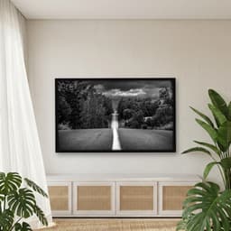 Quadro Decorativo Estrada Com Árvores