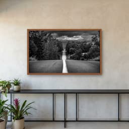 Quadro Decorativo Estrada Com Árvores