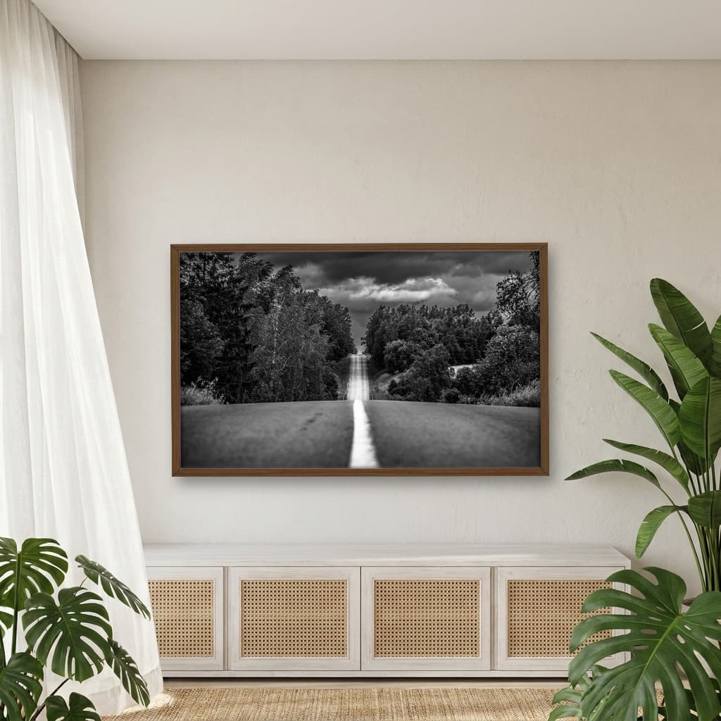 Quadro Decorativo Estrada Com Árvores