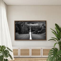 Quadro Decorativo Estrada Com Árvores