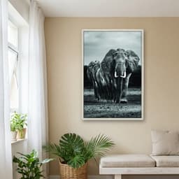 Quadro Decorativo Elefante