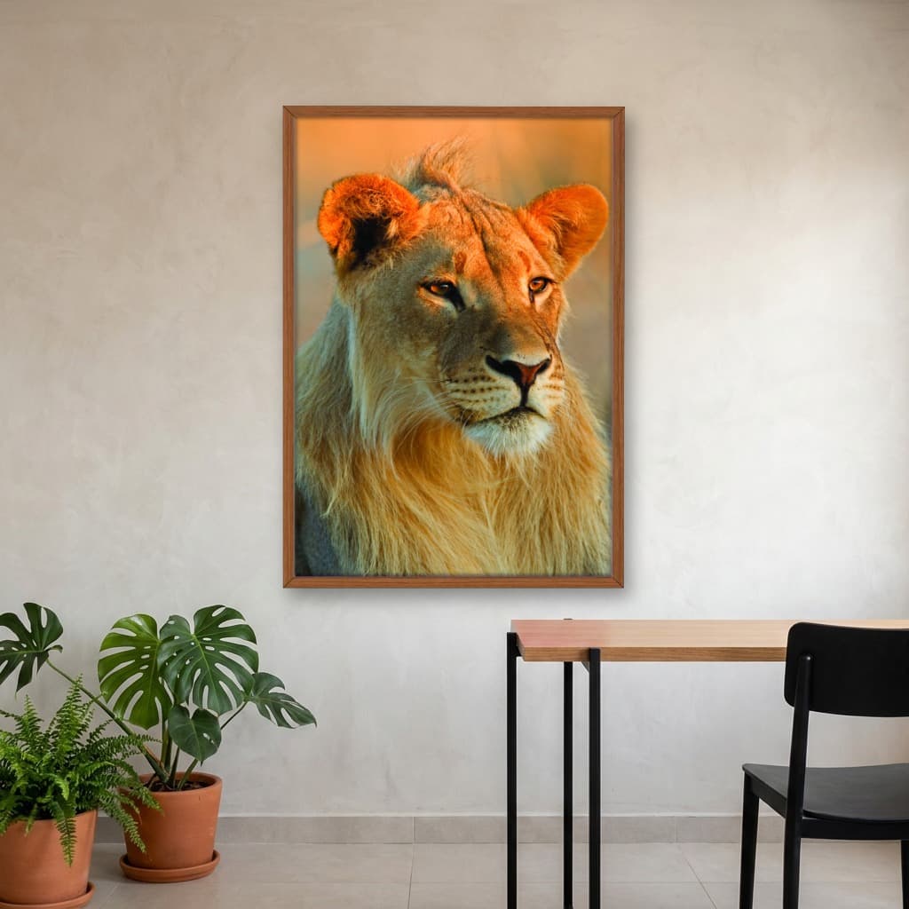 Quadro Decorativo Leão Jovem