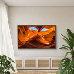 Quadro Decorativo Antelope